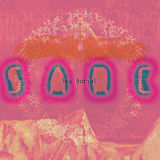 Cover art for the 2014 release “Sky Burial” by the band Sarc.