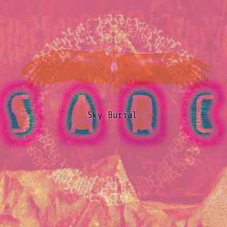 Cover art for the 2014 release “Sky Burial” by the band Sarc.